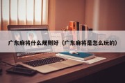 广东麻将什么规则好（广东麻将是怎么玩的）