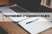广东红中麻将看码（广东麻将有红中怎么看马）