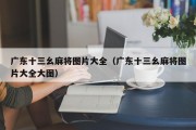 广东十三幺麻将图片大全（广东十三幺麻将图片大全大图）