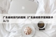 广东麻将技巧的视频（广东麻将教学视频新手入门）