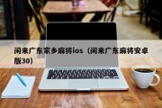 闲来广东家乡麻将ios（闲来广东麻将安卓版30）