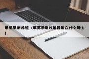 莱芜黑猪养殖（莱芜黑猪养殖基地在什么地方）