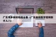 广东家乡麻将教程全集（广东麻将教学视频新手入门）