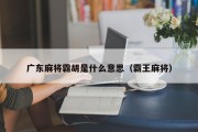 广东麻将霸胡是什么意思（霸王麻将）